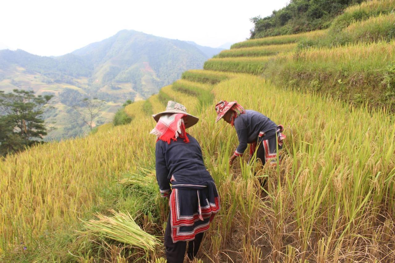 Hoang Su Phi Lodge Ha Giang Kültér fotó